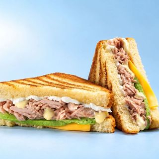Fresh Tuna Sandwich