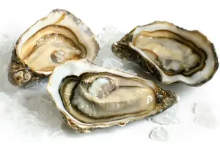 Ostrica concava gillardeau 3 pezzi