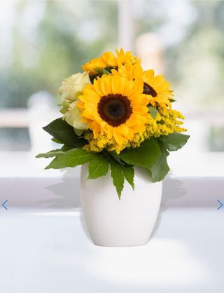 Bouquet 7 girasoli