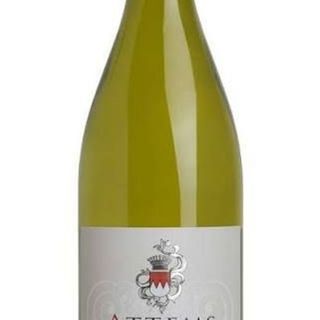 Ribolla gialla ATTEMS 2024