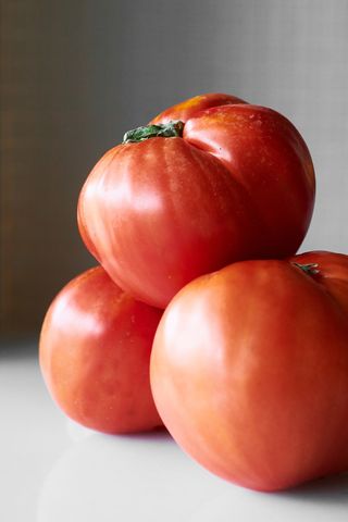 Tomate Ecológico de la Huerta con Anchoa 0.0 del Cantabrico