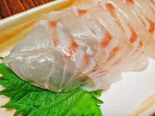 Chirashi Duo