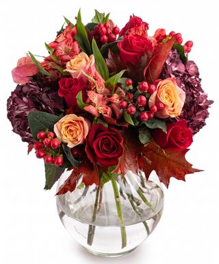 Buchet de trandafiri roșii și hortensii burgundy