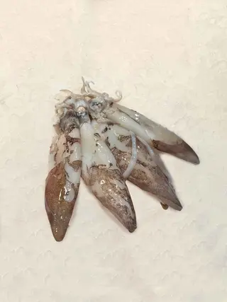 Calamar Plancha (400 Gr.)