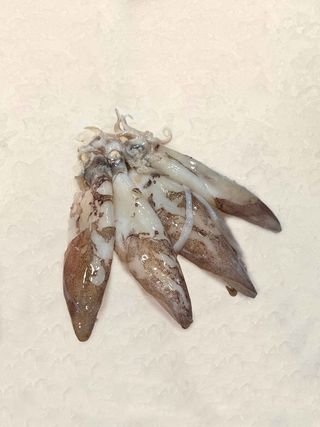 Calamar Plancha (400 Gr.)