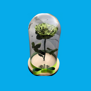 Trandafir Criogenat Verde