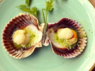 51. Zamburiñas a la Plancha (2 Uds.)