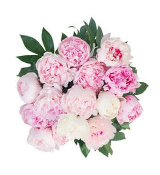 Bouquet di Peonie 