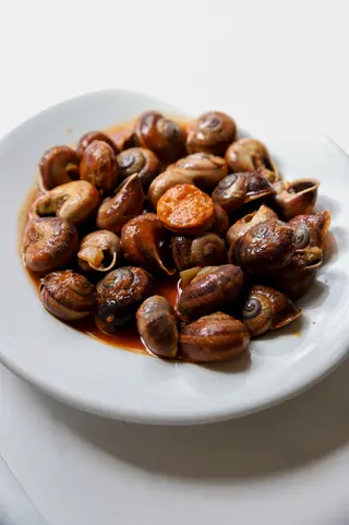 Caracoles