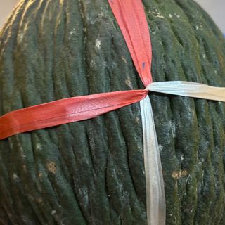 Melone verde bollo qualità extra kg 3,5 circa