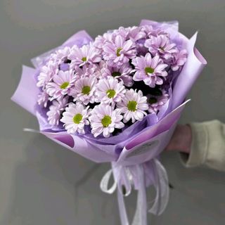 Buchet Plainish Purple 