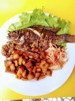 Alloco Poisson Frit