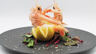 SCAMPI CRUDI 1 PEZZO DA 60G