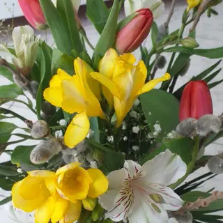 Buchet