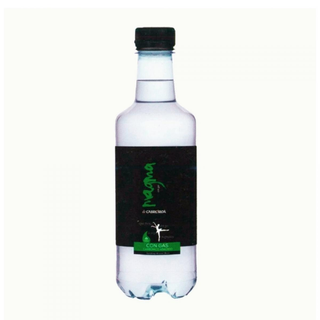 Agua Con Gas Pet (500 Ml.)