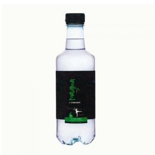 Agua Con Gas Pet (500 Ml.)