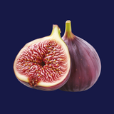 Tarrina 500G Higo Coll de Dama