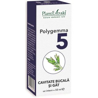Polygemma nr. 5 - Cavitate bucala si gat