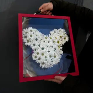 მიკი მაუსი 
