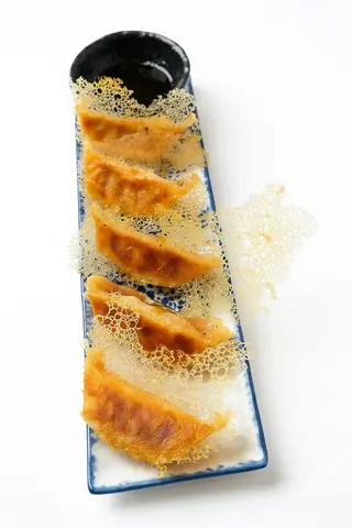 Gyoza De Pato A Plancha (5 Uds.)