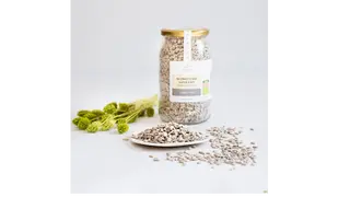 Słonecznik Łuskany BIO 500g