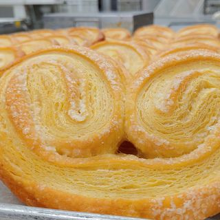 Palmera normal (1 ud.)