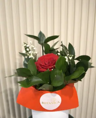 Mala pažnja