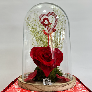 ROSA ETERNA FORMA DE CORAZÓN