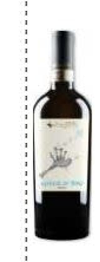 1008. Pinot Grigio Alto Adige DOCG