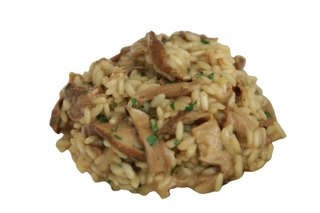 Rižoto sa vrganjima i biftekom