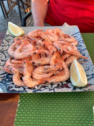Gamba da Costa ao Sal