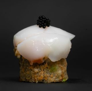 Makito Hotate Fry 6 pièces