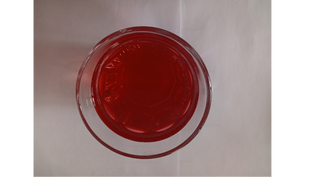 Kompot (0,21)