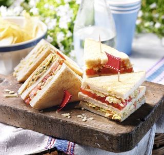 Sandwich Vegetarian