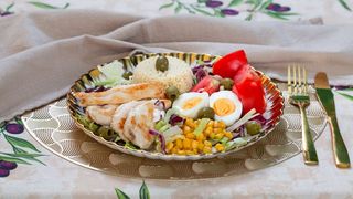 Protein fit obrok piletina