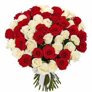 51 червона і біла троянда!