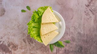 სულგუნი