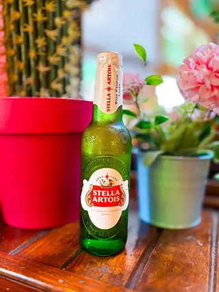 Stella artois