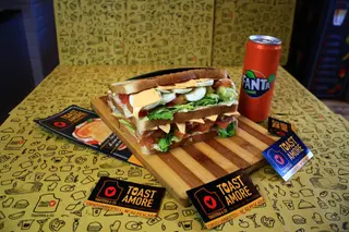 Toast Nevada