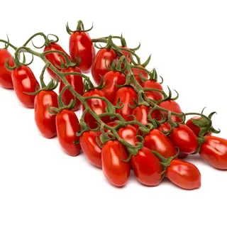 DATTERINI