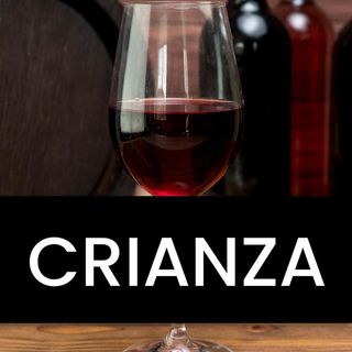 Vino Tinto Crianza (750ml)