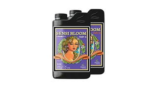 PH Perfect Sensi Bloom Part A&B 1 ლ