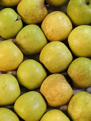Manzana Golden Roñosa 3 Unidades