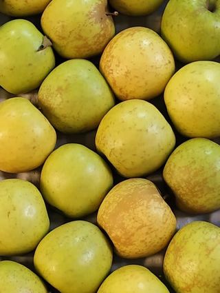 Manzana Golden Roñosa 3 Unidades