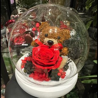 Sweet Red Teddy 
