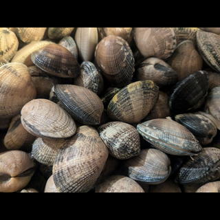 Spaghetti Caseros Con Almejas
