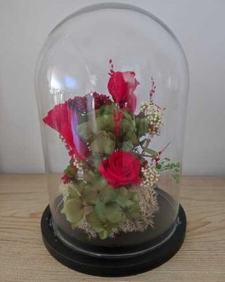 Rosa Eterna Roja Mediana