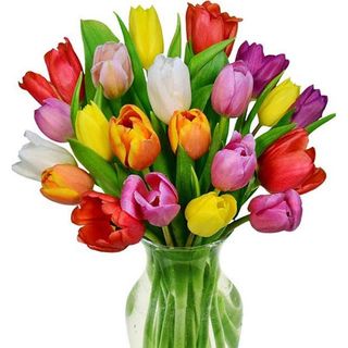 RAMO DE 10 TULIPANES 