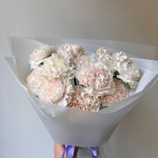 Діантусова хмаринка