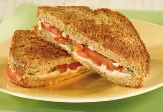 Tomato cheese sandwich